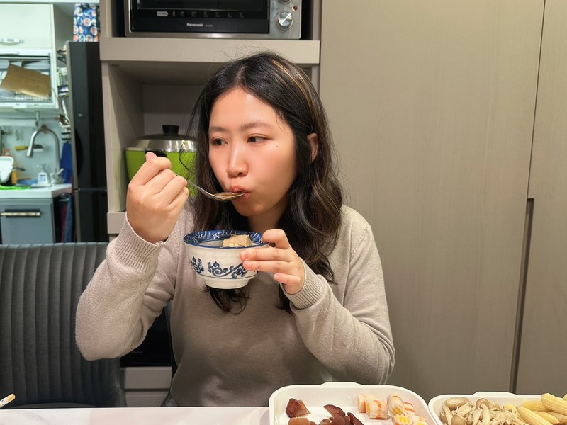 試用